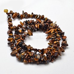 Natural Yellow Tiger Eye Chip Bead Strands&nbsp;G-L444-01