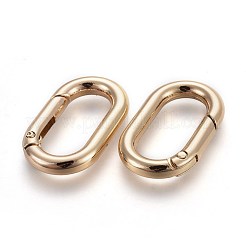 Zinc Alloy Key Clasps&nbsp;PALLOY-WH0056-02LG