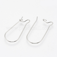 Tarnish Resistant 304 Stainless Steel Hoop Earrings&nbsp;X-STAS-T031-01