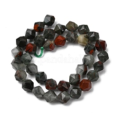 Natural African Bloodstone Beads Strands&nbsp;G-Z119-A28-03