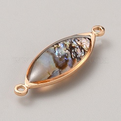 Natural Paua Shell Connector Charms&nbsp;KK-WH0062-100KCG-B