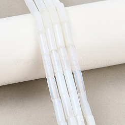 Opalite Beads Strands&nbsp;G-F631-D19