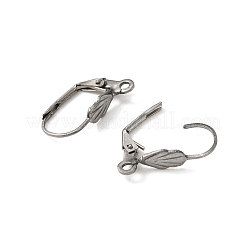 316 Surgical Stainless Steel Leverback Earring Findings&nbsp;STAS-WH0022-69