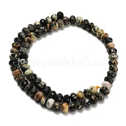 Natural African Turquoise(Jasper) Beads Strands&nbsp;G-Z111-A13-01