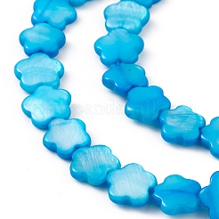 Natural Freshwater Shell Dyed Beads Strands&nbsp;SHEL-K001-001F