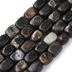 Natural Biotite Beads Strands&nbsp;G-D098-D15