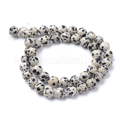 Natural Dalmatian Jasper Bead Strands&nbsp;X-G-R345-6mm-51