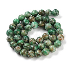 Natural Turquoise Dyed Beads Strands&nbsp;TURQ-U001-02E