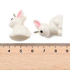 Resin Pendants&nbsp;X-RESI-S356-53