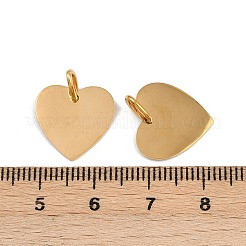 304 Stainless Steel Charms&nbsp;STAS-G357-09G