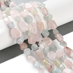 Natural Morganite Beads Strands&nbsp;G-P497-01C-57