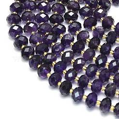 Natural Amethyst Beads Strands&nbsp;G-P573-A01-01
