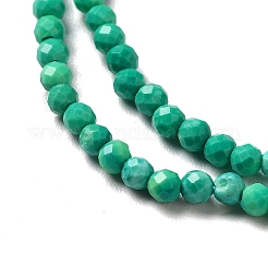 Natural Howlite Beads Strands&nbsp;G-C025-02A-02