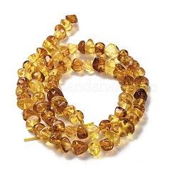 Natural Amber Beads Strands&nbsp;G-L095-L01-01