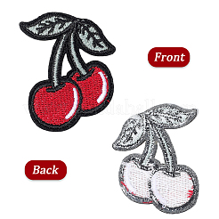 30Pcs Computerized Embroidery Cloth Iron on/Sew on Patches&nbsp;PATC-CY0001-23
