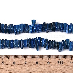 Natural Freshwater Shell Beads Strands&nbsp;SHEL-T020-40C
