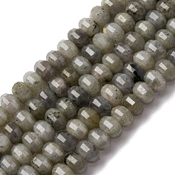 Natural Labradorite Beads Strands&nbsp;G-P587-D13-02