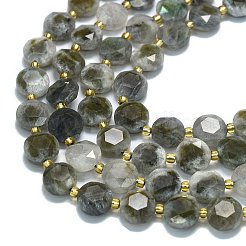 Natural Labradorite Beads Strands&nbsp;G-C116-A94-01