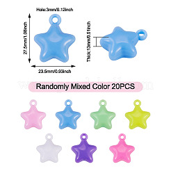 20Pcs Opaque Acrylic Pendants&nbsp;MACR-TADJ0001-04