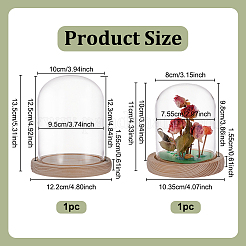 2Pcs 2 Styles Glass Dome Cover&nbsp;AJEW-NB0007-93