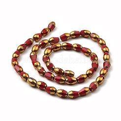 Faceted Electroplate Glass Beads Strands&nbsp;EGLA-P051-04A-B