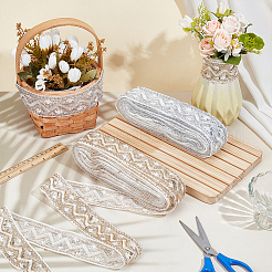 2 Rolls 2 Colors Polyester Embroidery Lace Ribbon with Paillette&nbsp;SRIB-MA0001-12