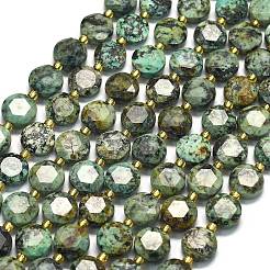 Natural African Turquoise(Jasper) Beads Strands&nbsp;G-C116-A154-01