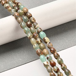 Natural Aqua Terra Jasper  Beads Strands&nbsp;G-F765-I01-01