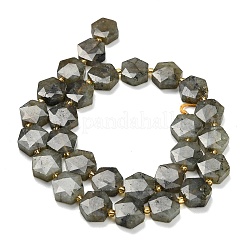 Natural Gray Labradorite Beads Strands&nbsp;G-L660-A02-01