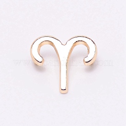 Alloy Charms&nbsp;PALLOY-WH0088-13LG