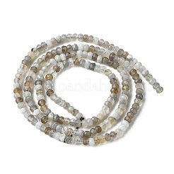 Natural Botswana Agate Beads Strands&nbsp;G-F748-D01