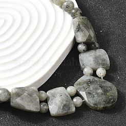Natural Labradorite Faceted Bib Graduated Beaded Necklaces for Women&nbsp;NJEW-B128-01P