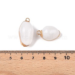 Natural Sea Shell Pendants&nbsp;SSHEL-N038-36