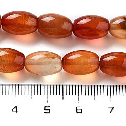 Natural Red Agate Beads Strands&nbsp;G-B106-B06-01