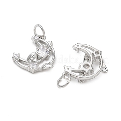 Brass Micro Pave Clear Cubic Zirconia Pendants&nbsp;KK-D289-60P