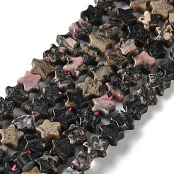 Natural Rhodonite Beads Strands&nbsp;G-G085-B50-02