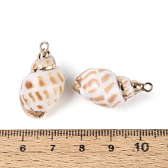 Electroplate Natural Sea Shell Pendants&nbsp;SSHEL-T018-08