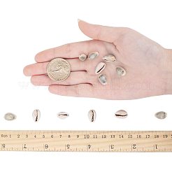 Cowrie Shell Links&nbsp;SSHEL-PH0002-45