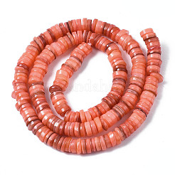 Natural Freshwater Shell Beads Strands&nbsp;X-SHEL-S278-025H