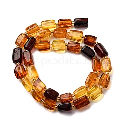 Gradient Color Natural Amber Beads Strands&nbsp;G-F803-D01-02