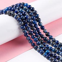 Natural Lapis Lazuli Round Bead Strands&nbsp;G-E262-01-6mm