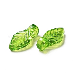 Transparent Acrylic Charms&nbsp;MACR-C009-12