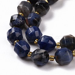 Natural Sodalite Beads Strands with Seed Beads&nbsp;G-G990-E01