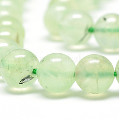 Natural Prehnite Beads Strands&nbsp;G-S263-6mm-04