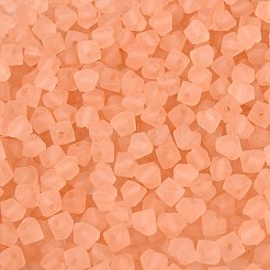 FGB Frosted Transparent Glass Seed Beads&nbsp;SEED-N013-03A-04