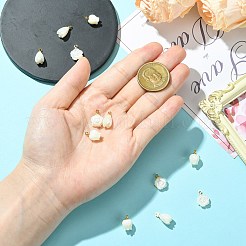 12Pcs 3 Styles Natural Shell Carved Flower Charms&nbsp;KK-CJ0003-83