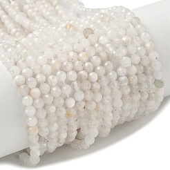 Natural Moonstone Beads Strands&nbsp;G-C201-B06-4mm