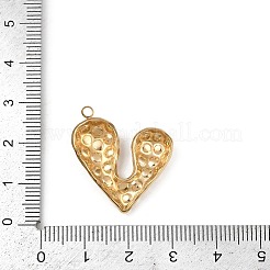 304 Stainless Steel Pendants&nbsp;STAS-B092-10G