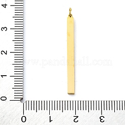 304 Stainless Steel Pendants&nbsp;STAS-E550-67G