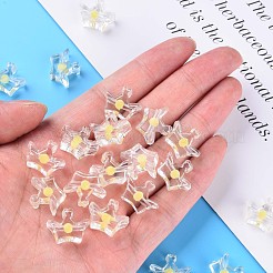 Transparent Acrylic Beads&nbsp;MACR-S373-105-B05